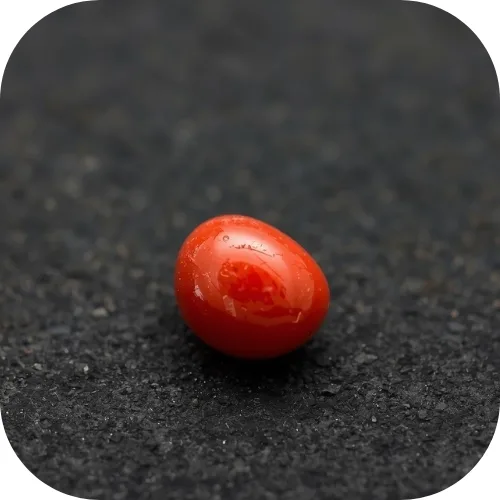 RED CORAL